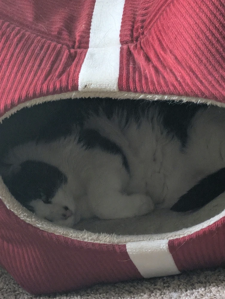 GIF uploaded by Tyler