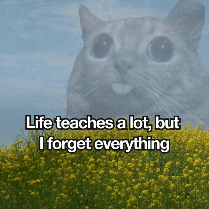 GIF uploaded by Blaah
