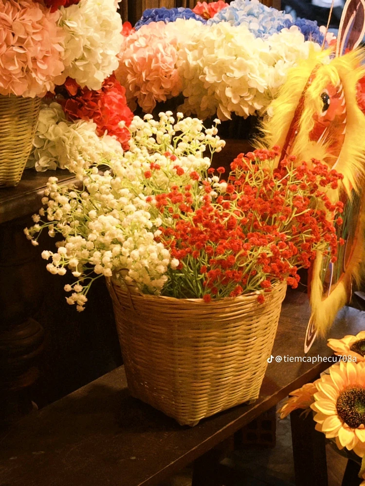 Image uploaded by Liên