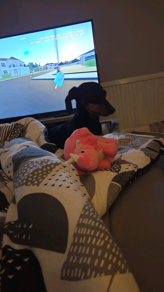 GIF uploaded by Dafydd