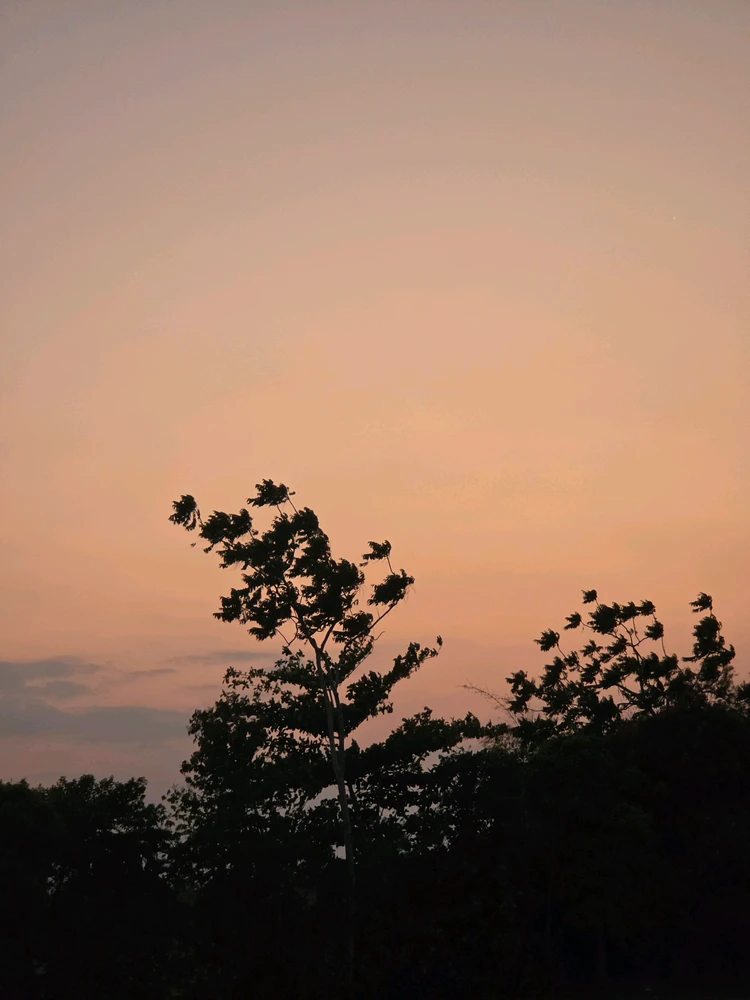 Image uploaded by Celestial Canvas