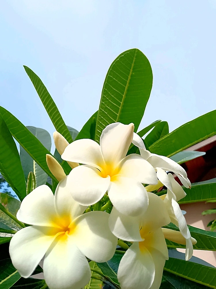 GIF uploaded by Love