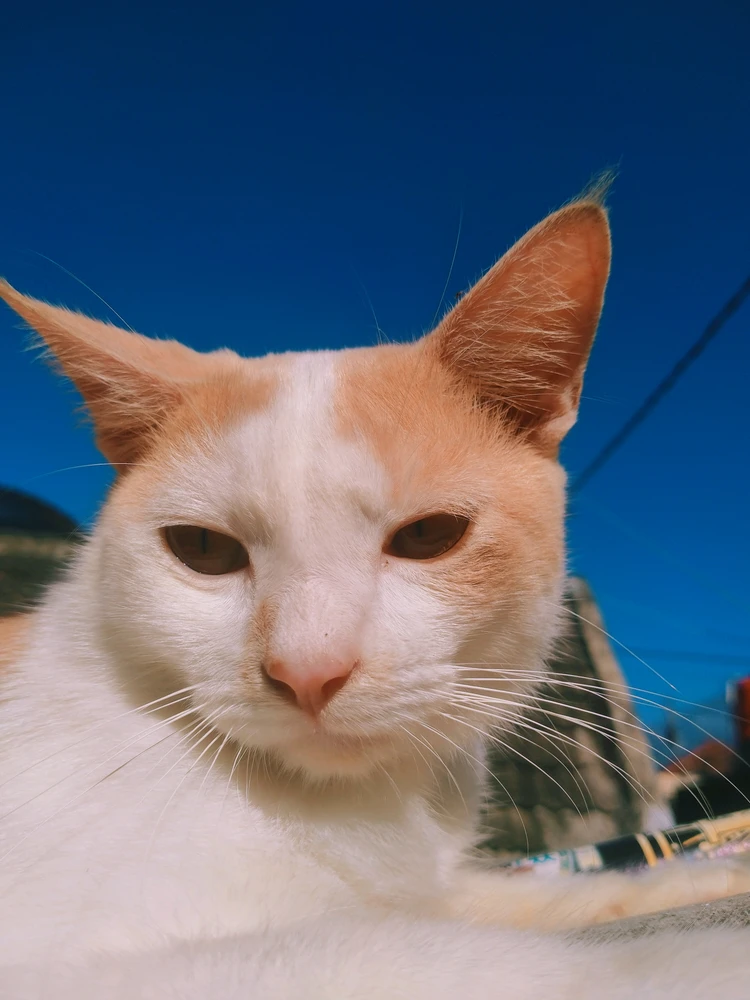 GIF uploaded by Olif