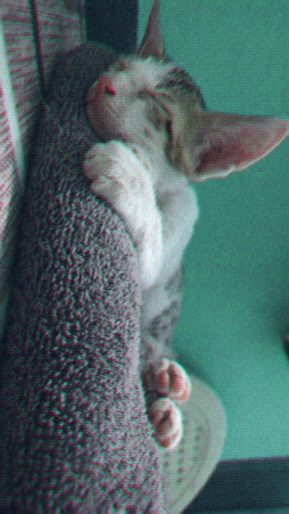 GIF uploaded by Jeona