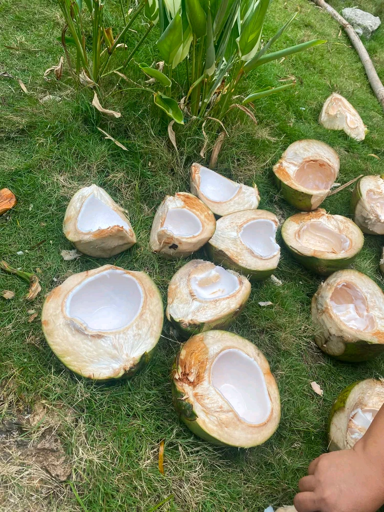 GIF ilipakiwa na Kaith