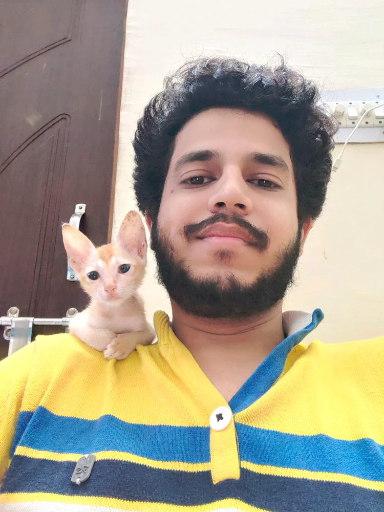 MrPumpkin ने अपलोड केलेला GIF