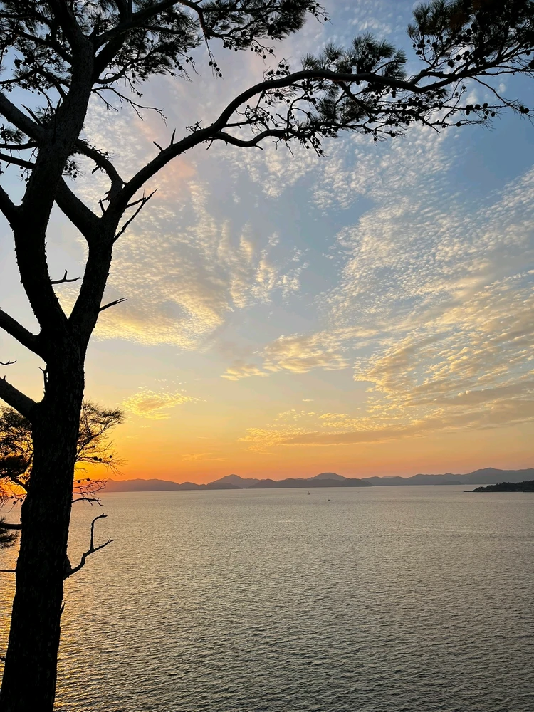 GIF uploaded by Alper