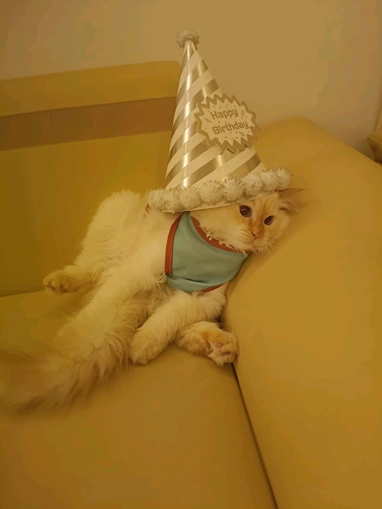 Image uploaded by Mahmoud