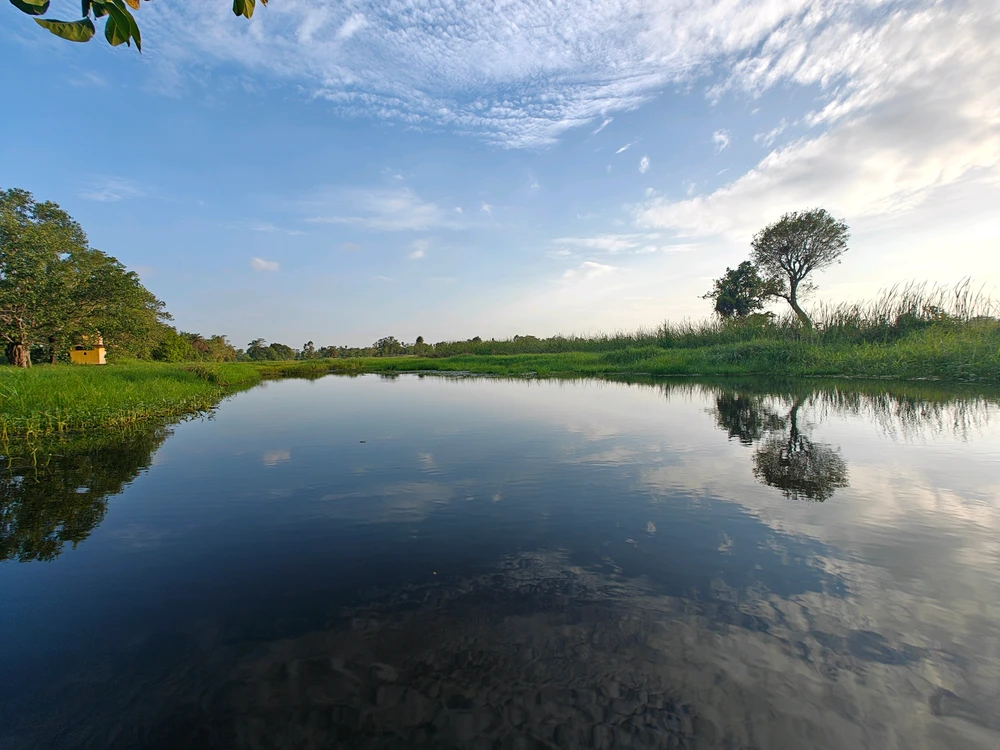 Image uploaded by Soham Babu