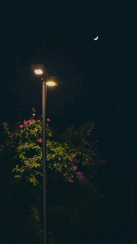 GIF uploaded by Anas