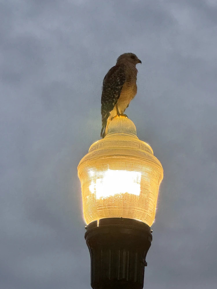 GIF uploaded by Matty
