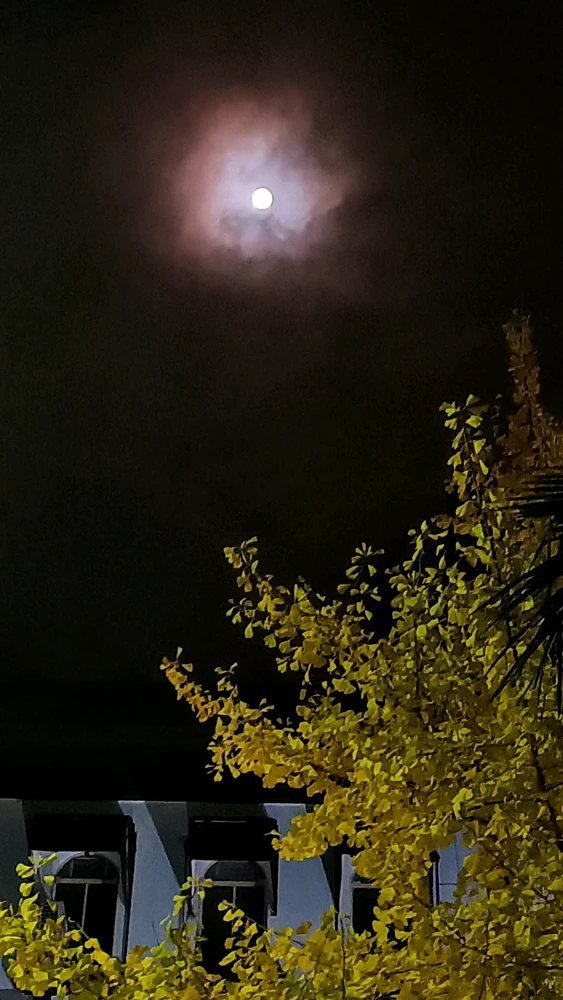 GIF uploaded by Venus