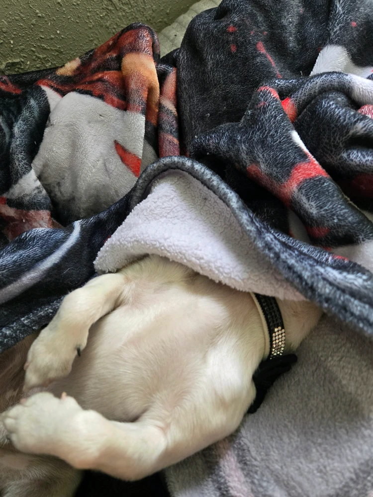 GIF uploaded by Gabriella