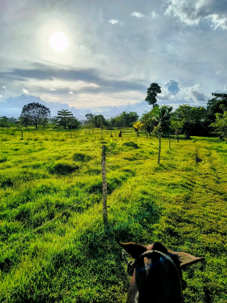 GIF uploaded by Viviana