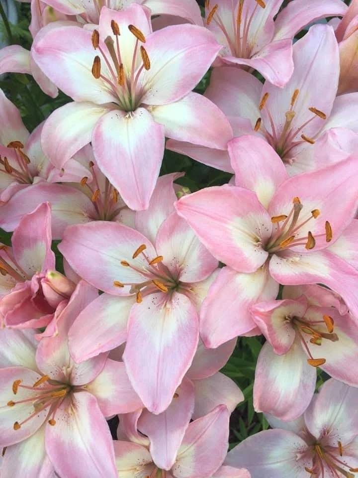 GIF uploaded by Princess