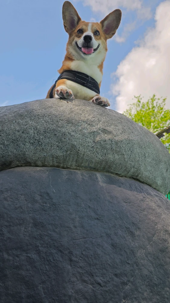 GIF uploaded by Mars