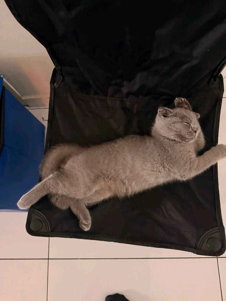 GIF uploaded by Samantha