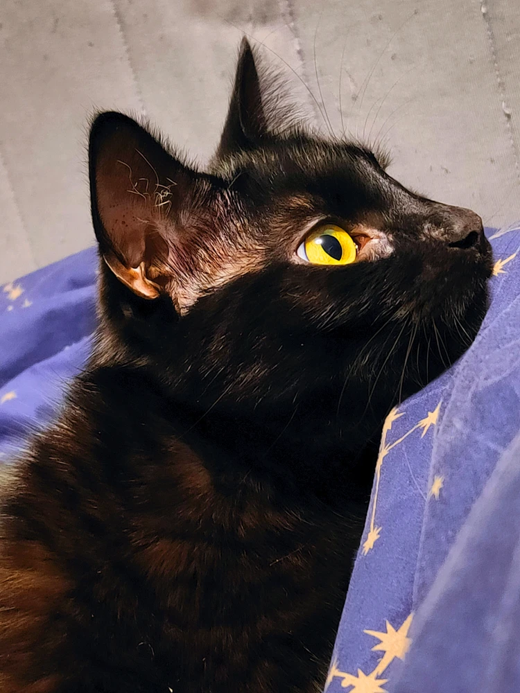 GIF uploaded by Agnieszka