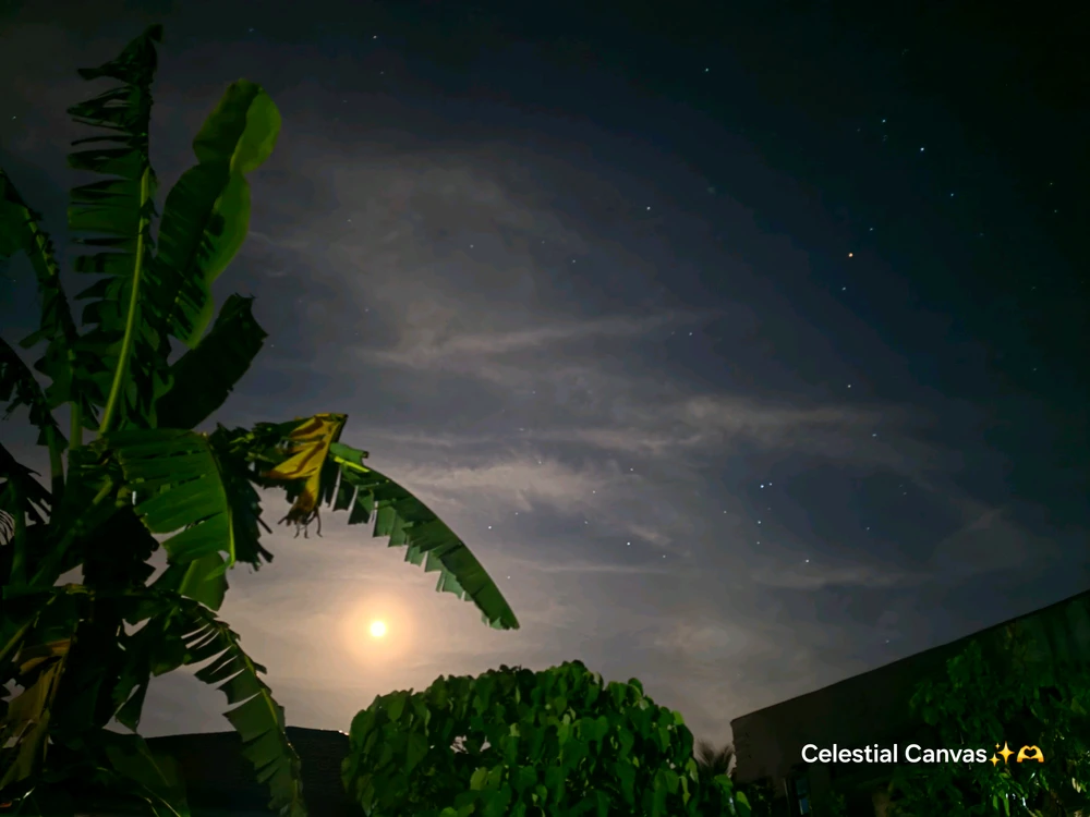 د Celestial Canvas لخوا اپلوډ شوی انځور