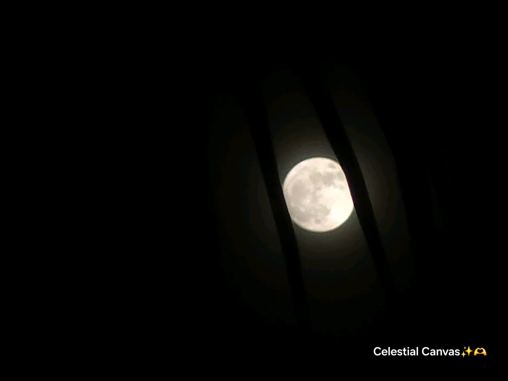 د Celestial Canvas لخوا اپلوډ شوی انځور