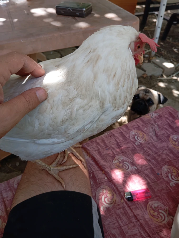 GIF uploaded by TEO