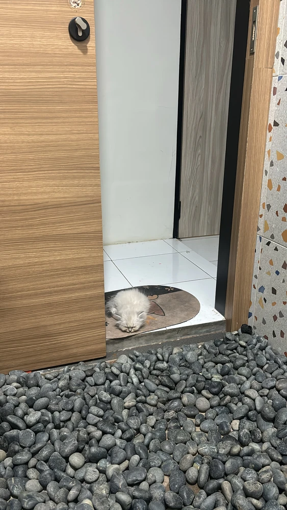 GIF uploaded by Tia Maharani