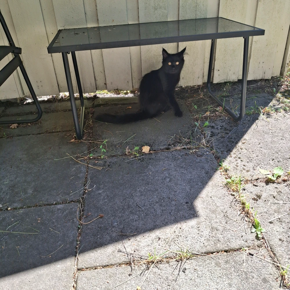GIF uploaded by Kristina