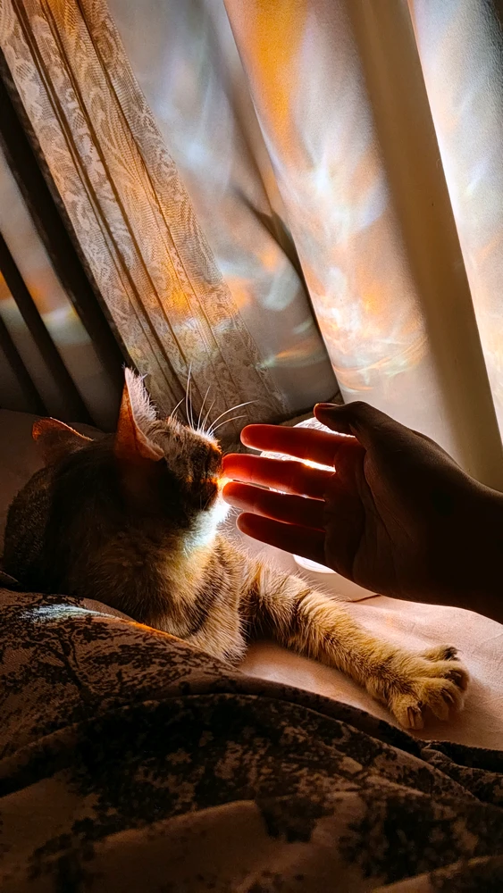 Image uploaded by Qin