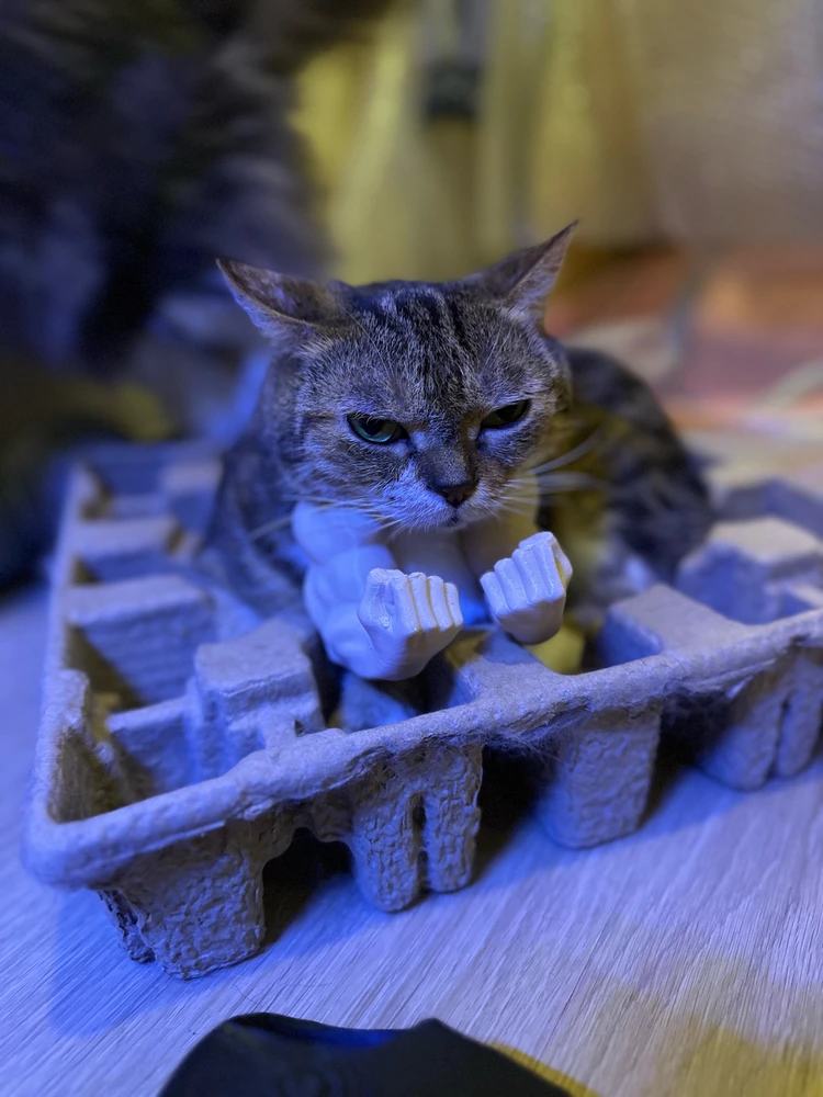 Image uploaded by Pui