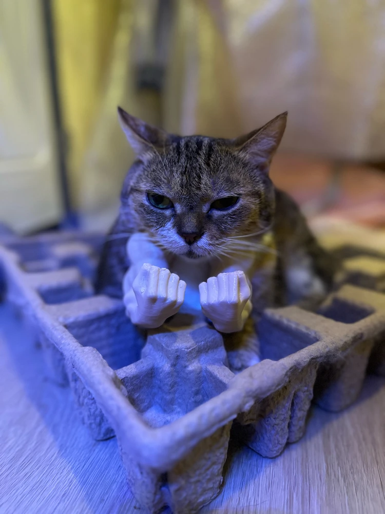 Image uploaded by Pui
