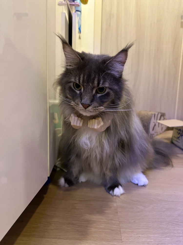 Image uploaded by Pui