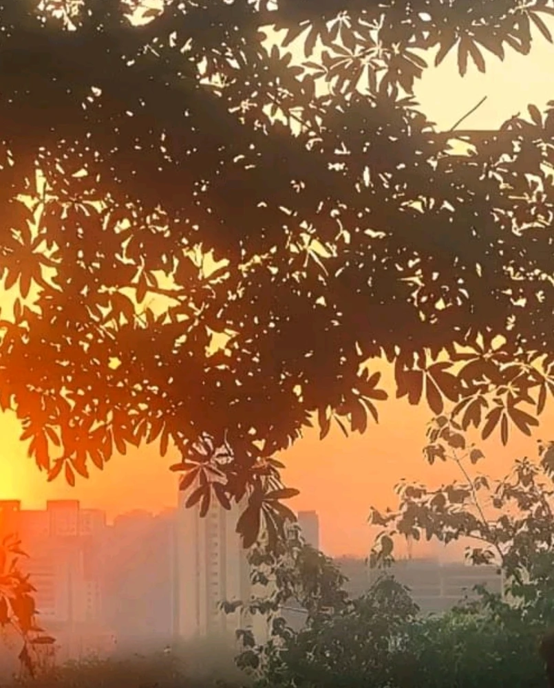 GIF uploaded by P