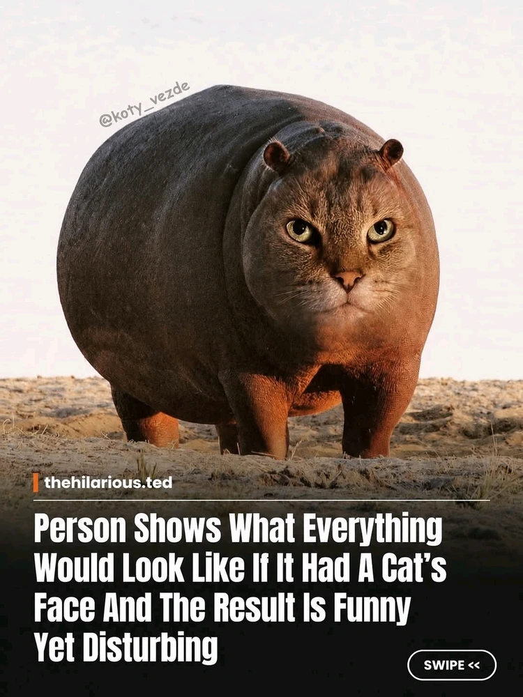Image uploaded by Moondoggy