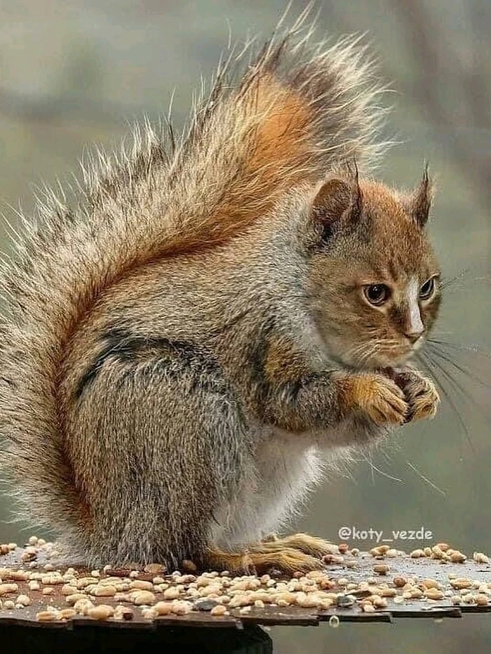 Image uploaded by Moondoggy