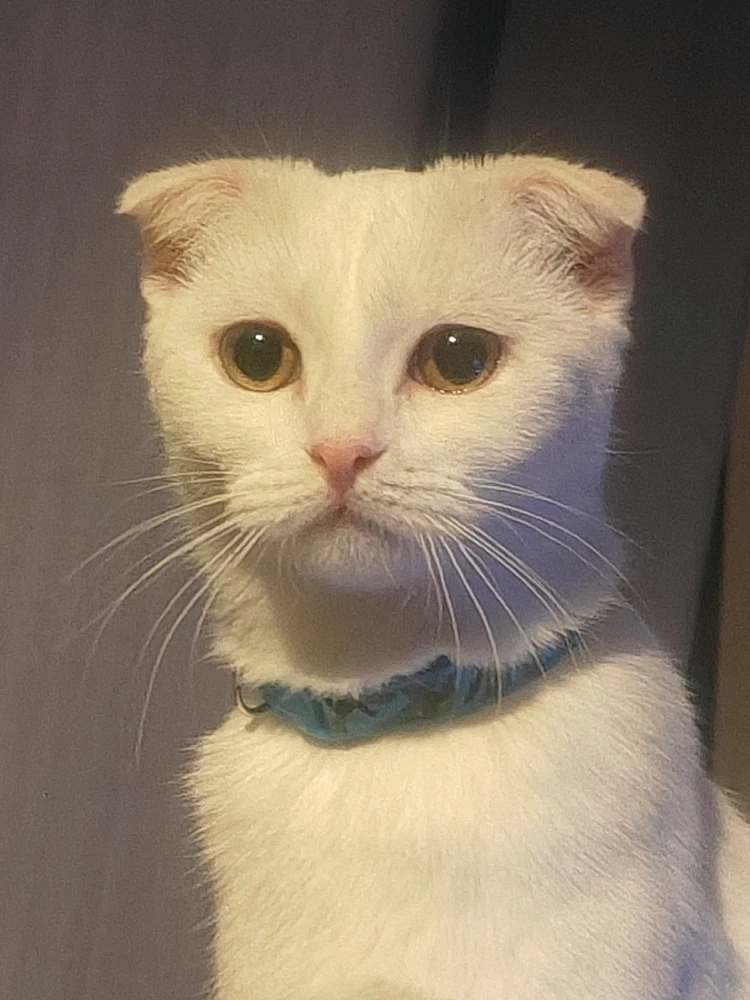 Image uploaded by Janne