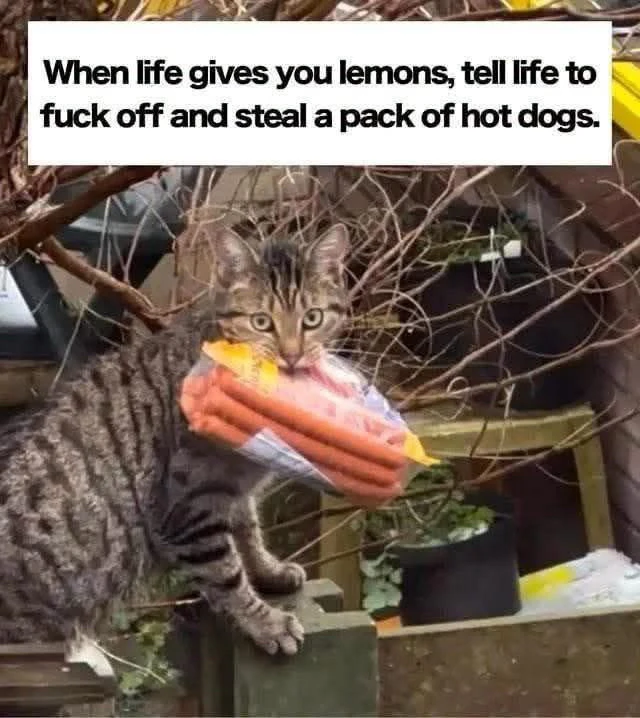 GIF uploaded by ℳℴ𝓇𝓃𝒾𝓃ℊ𝓈𝓉𝒶𝓇