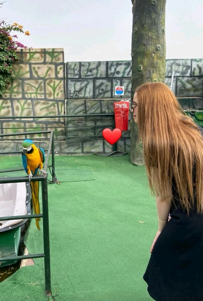 GIF uploaded by Hanane