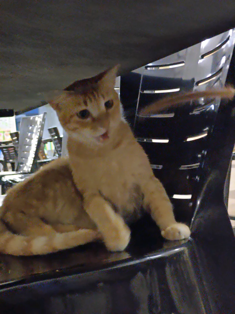 GIF uploaded by Nuna
