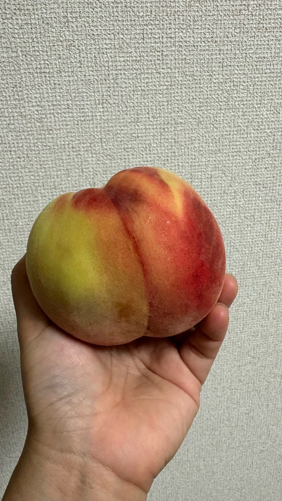 GIF 愛ちゃん te mete