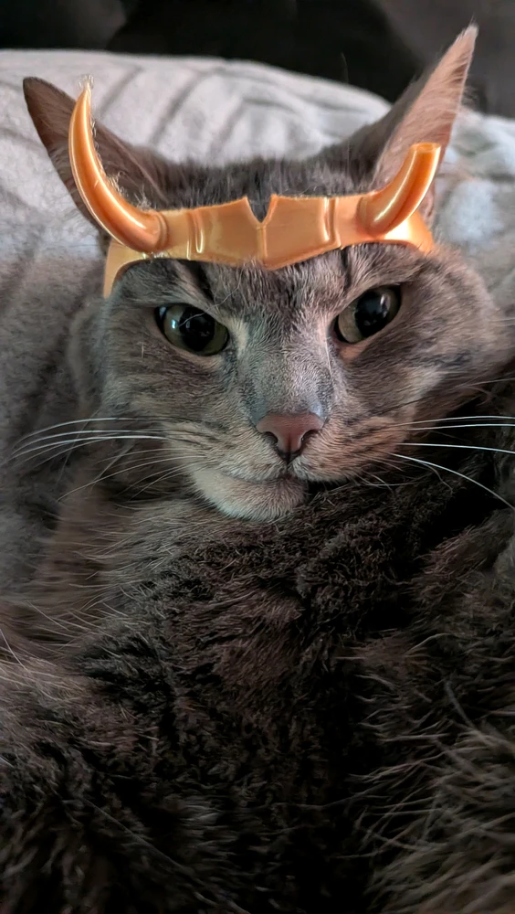 GIF uploaded by Eliemil
