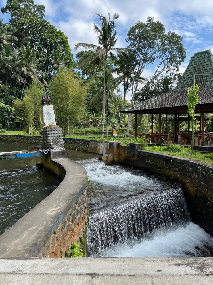 Image uploaded by Anh