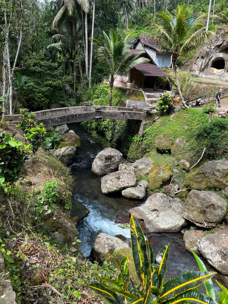 Image uploaded by Anh