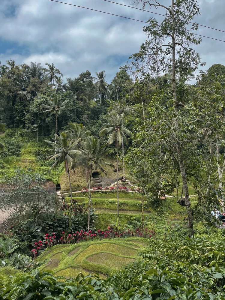 Image uploaded by Anh