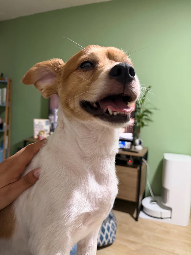 GIF uploaded by Mily