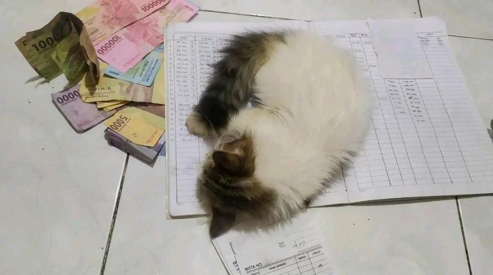 GIF อัปโหลดโดย Ivon