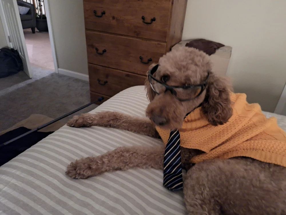 GIF uploaded by Gariliah