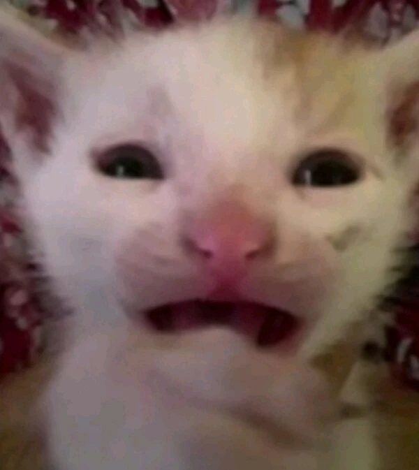 GIF uploaded by Puppet
