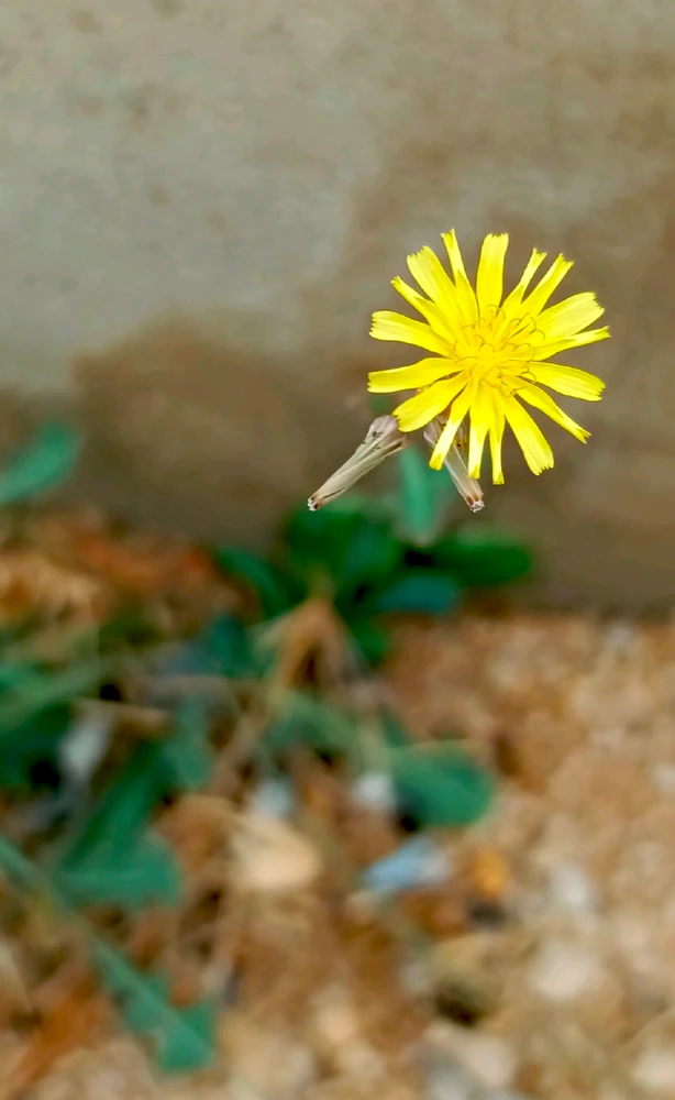 GIF อัปโหลดโดย 𝑨𝒏𝒆𝒆𝒍..
