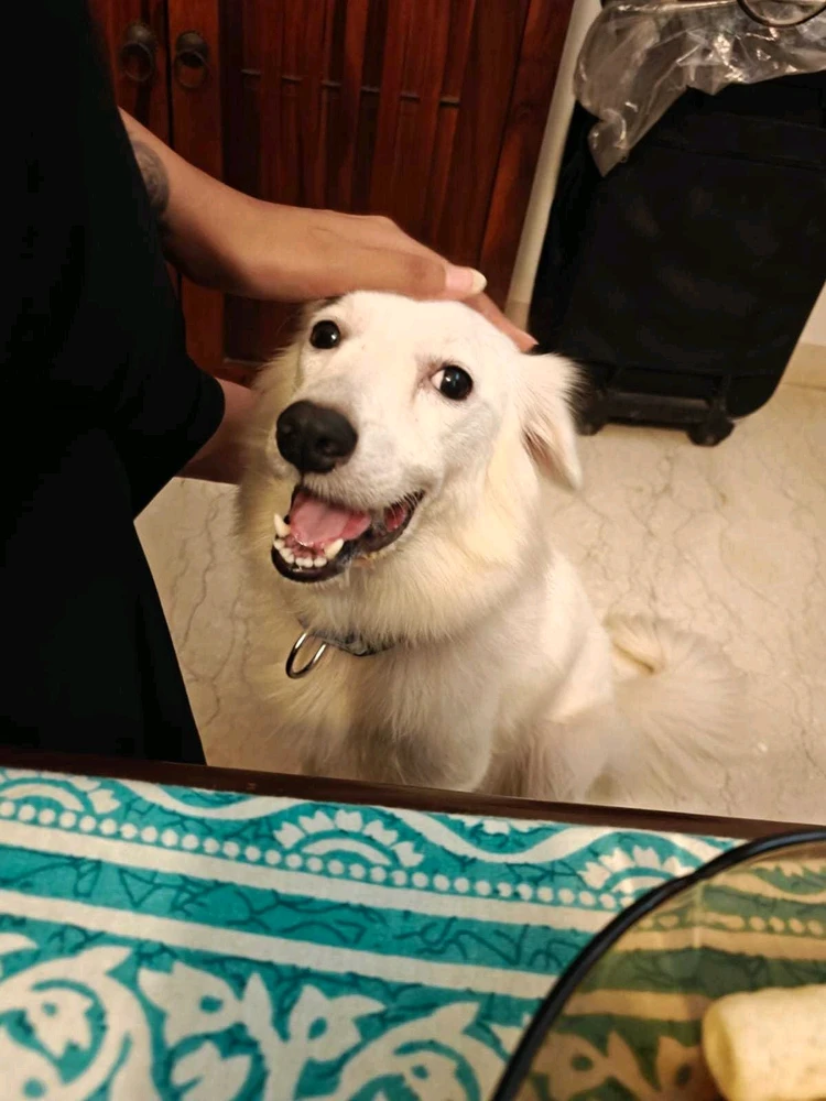GIF uploaded by aru