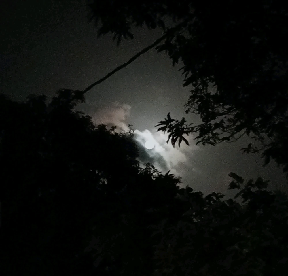 GIF diunggah ku Nidula